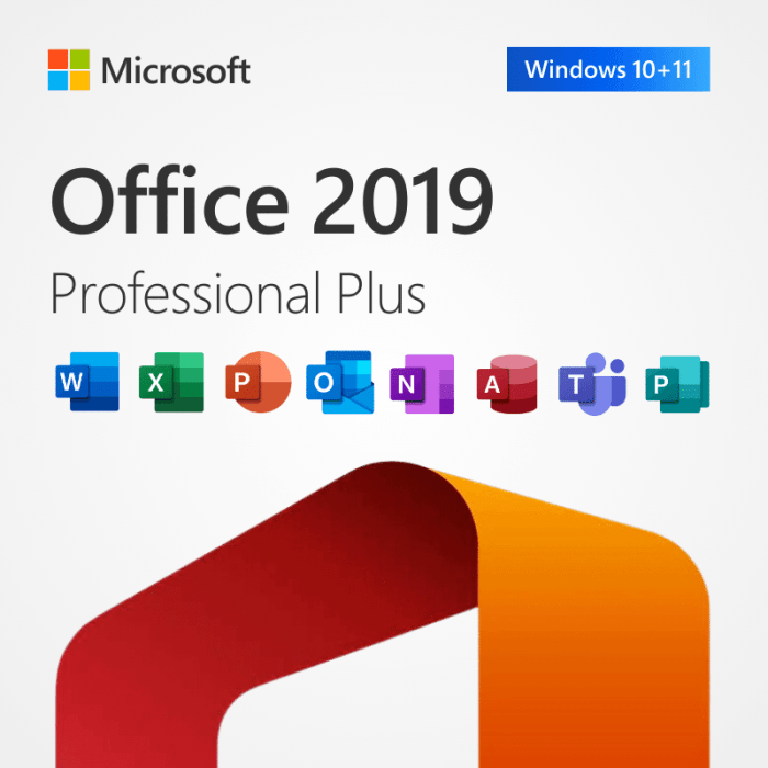 Office Professional 2019 - Discount Software Stop