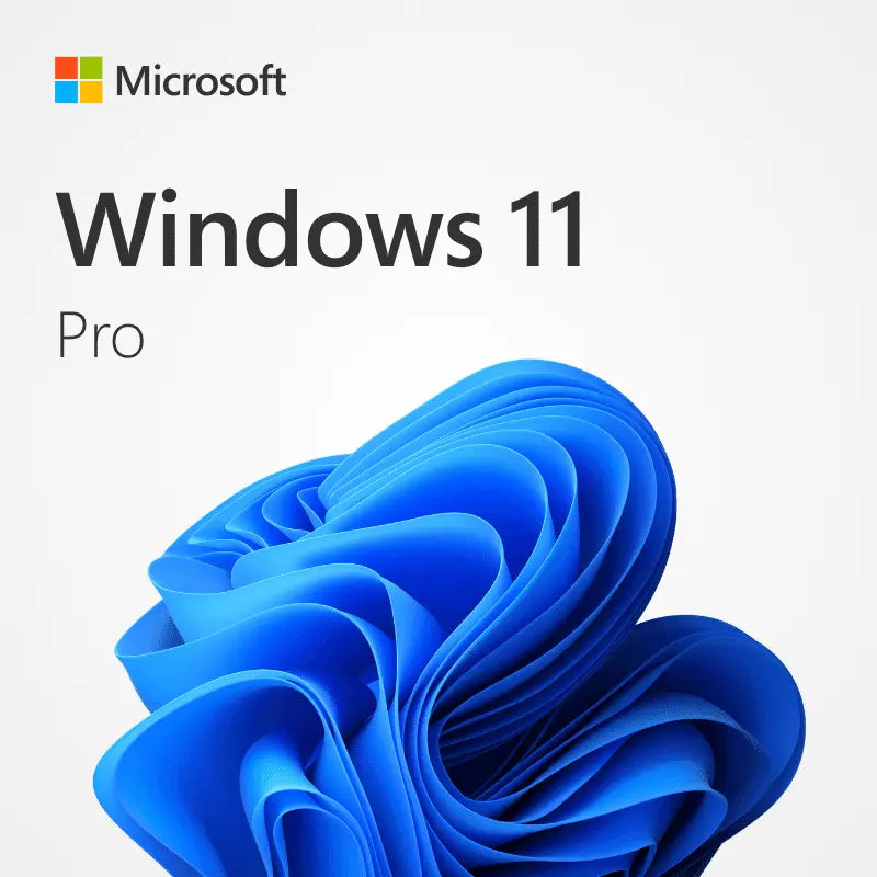 Windows 11 Professional 64-Bit OEM