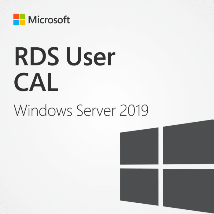 Windows Server 2019 Remote Desktop Services User Cal (RDS) (20 Pack) - Discount Software Stop