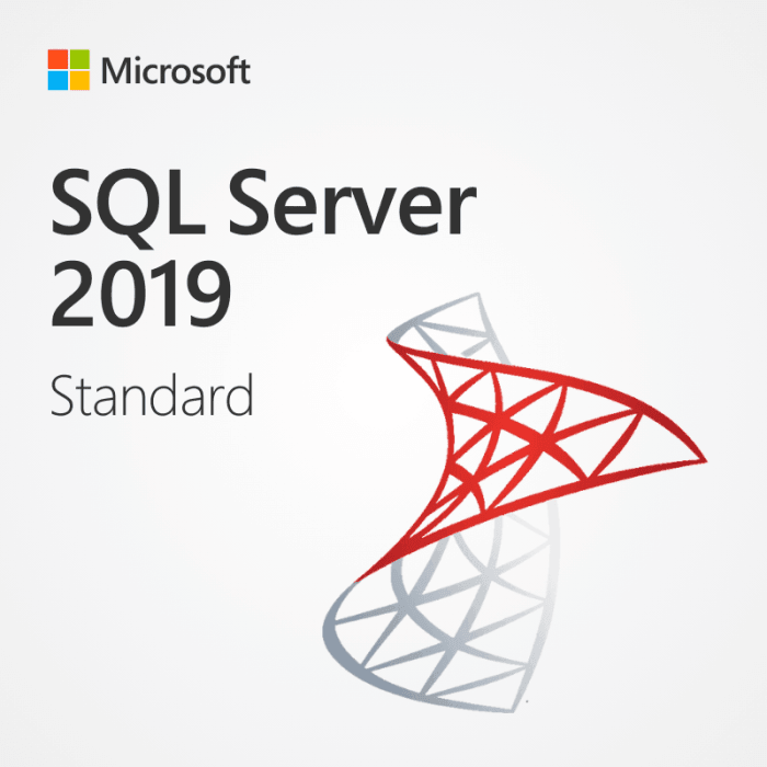 Microsoft SQL Server 2019 Standard - 2 Core Download - Discount Software Stop