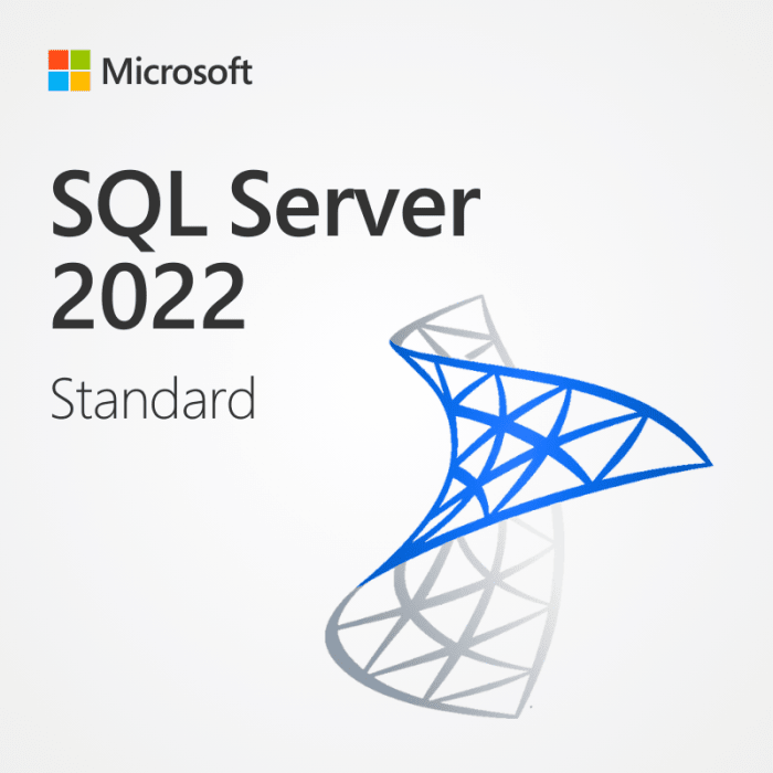 SQL Standard 2022 With 10 Cals - Discount Software Stop