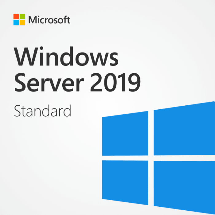 Windows Server 2019 Standard 16 Cores - Discount Software Stop